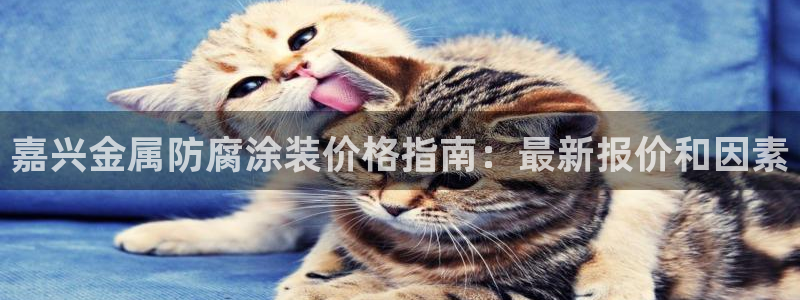 美高梅酒店集团怎么样