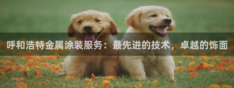 美狮美高梅酒店哪年开业