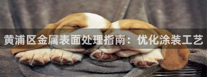 美高梅会员卡级别