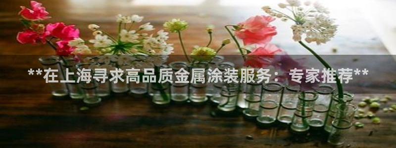 美狮美高梅酒店谁开的