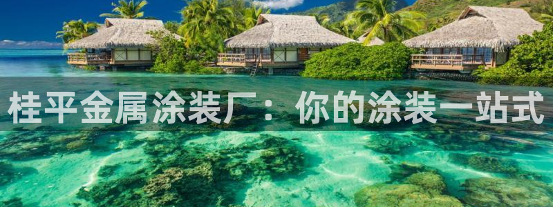 美高梅酒店品牌之夜