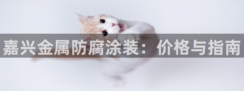 美高梅酒店澳门价格