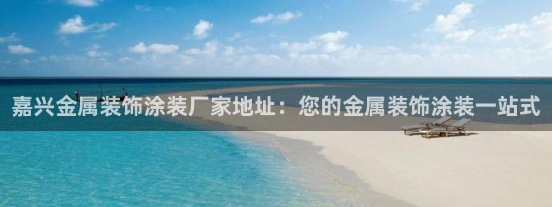 美高梅公司的业务范围