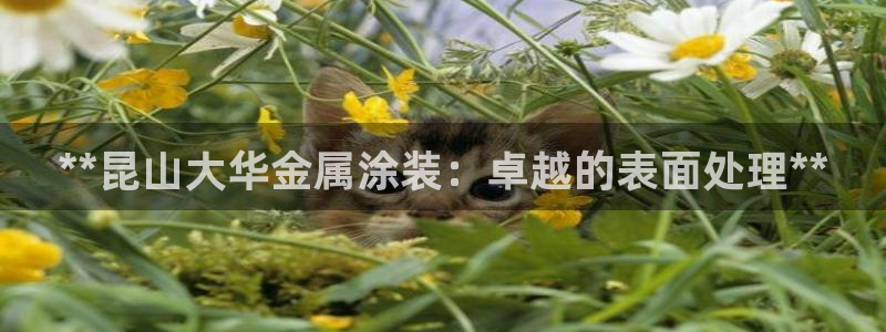美狮美高梅酒店金狮子