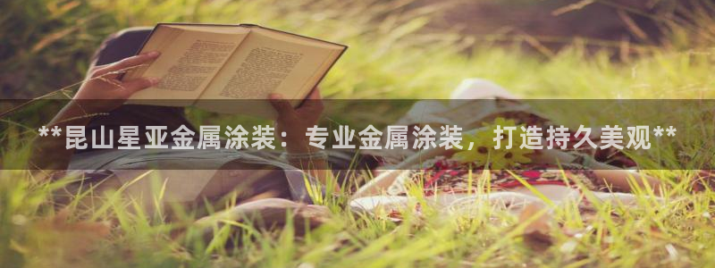 美狮美高梅酒店挂图