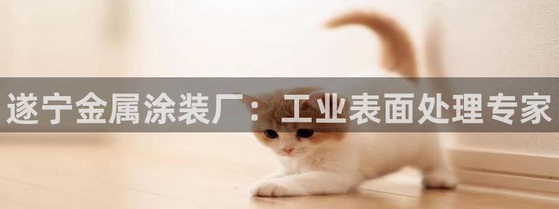 美高梅和米高梅是一家公司吗