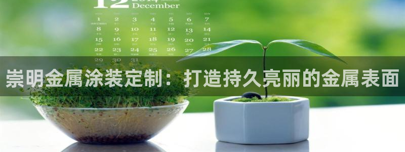 美狮美高梅酒店港澳快线