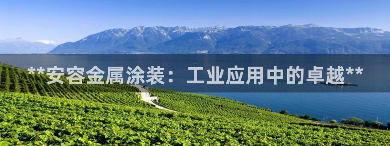 美高梅酒店匹配凯悦