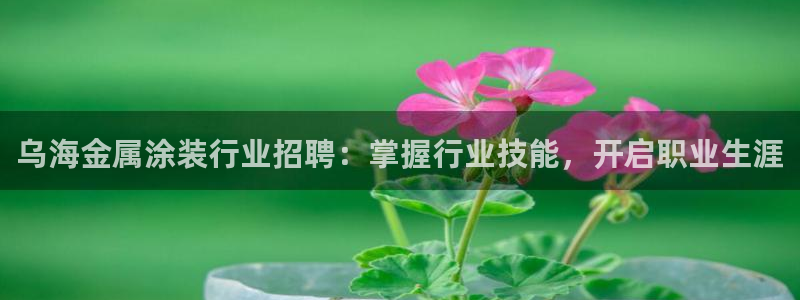 美高梅最大筹码