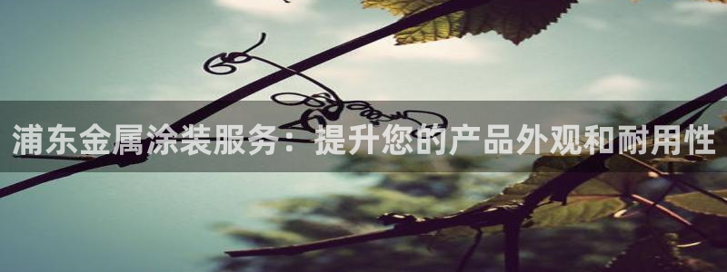 美高梅手机游戏