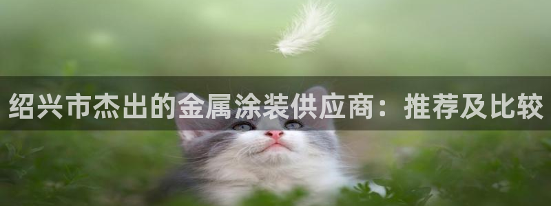 美高梅酒店拉斯维加斯