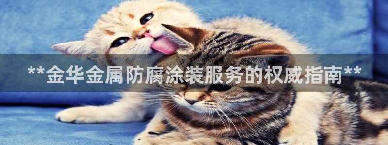 美高梅酒店可以赶海吗