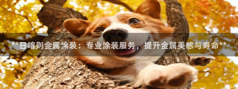 美高梅提不了现还让再充钱