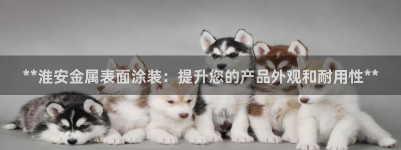 美高梅官网版手机版