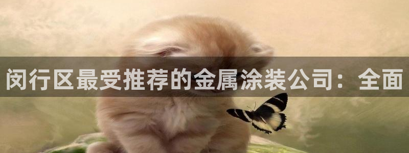 美狮美高梅酒店设计师