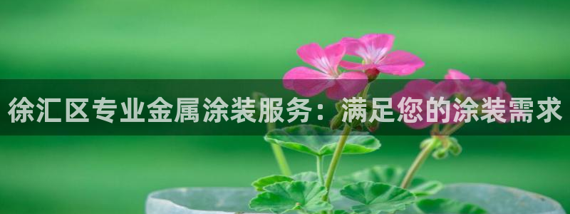 美高梅会员卡等级有什么用