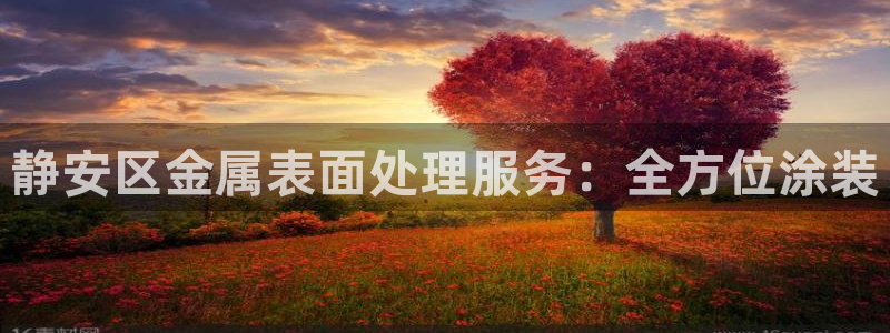 美高梅会员卡积分能在哪里使用