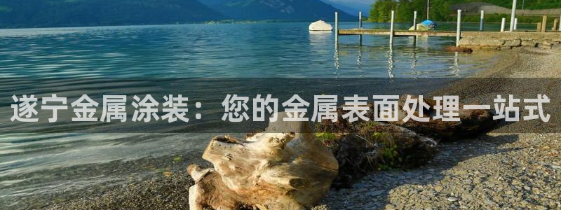 美高梅别墅户型图