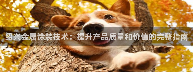 美高梅大厦