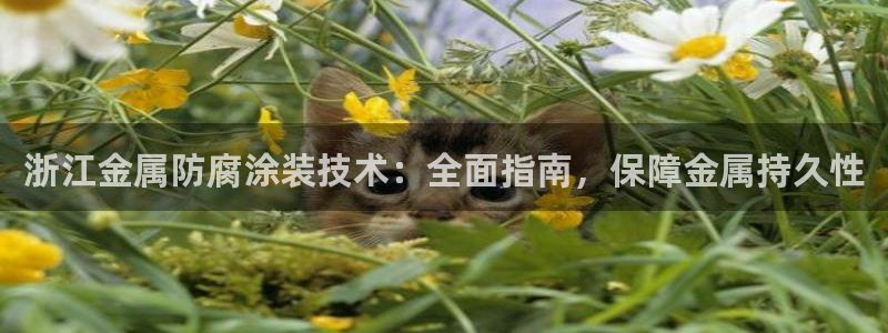 美高梅酒店官网 三亚