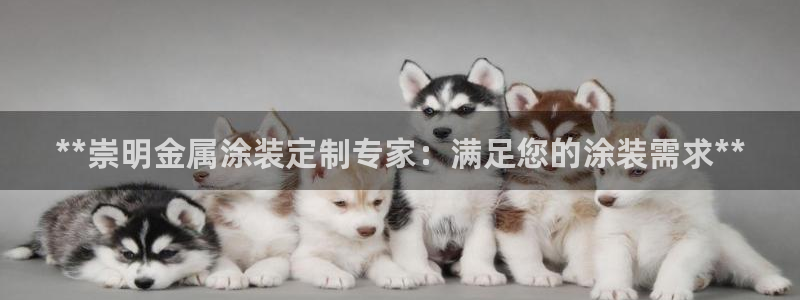 美高梅空气炸锅怎么样