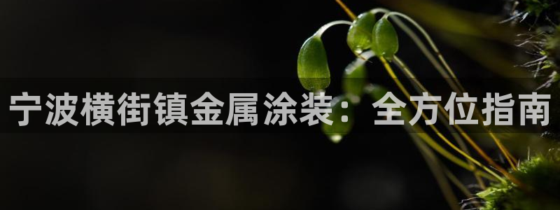 美高梅空中海洋秀在哪里