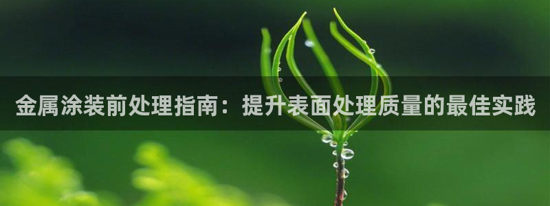 美高梅会员卡需要退卡吗