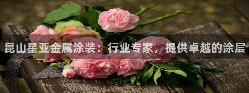 美高梅酒店分布