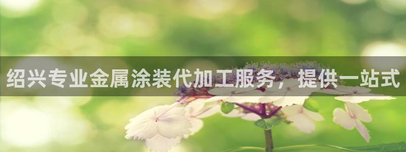 美高梅官网国际亮点