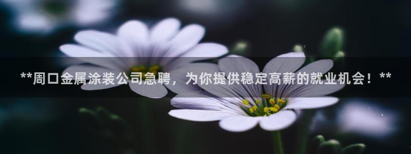 美高梅酒店金卡