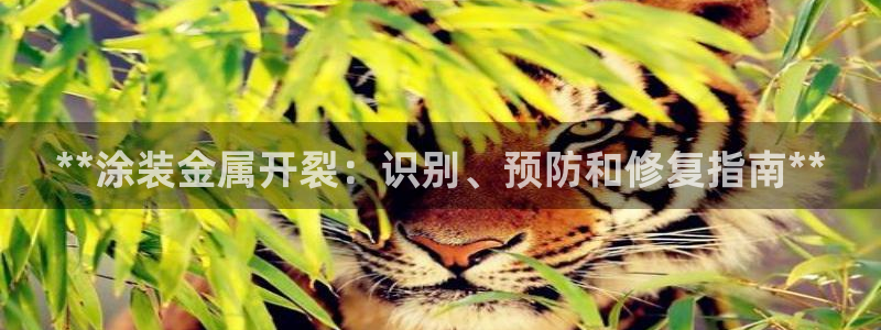 鲁能美高梅别墅什么时候入住