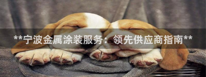 美高梅是谁的酒店