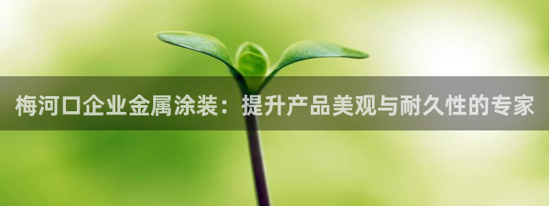 美高梅酒店发财车