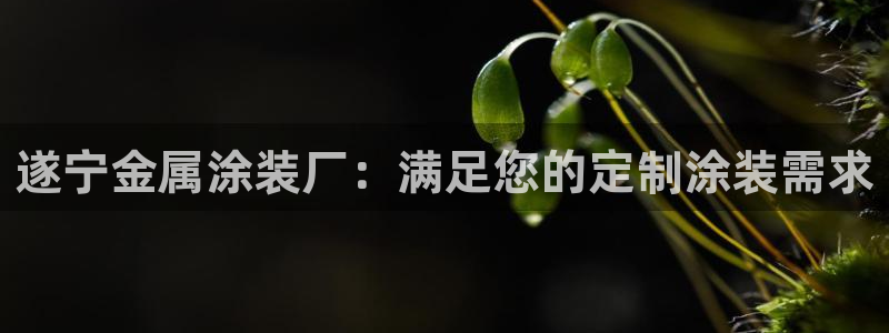 美高梅是美国的还是澳门的