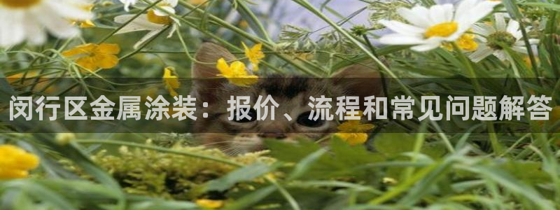 美高梅在澳门有几家门店