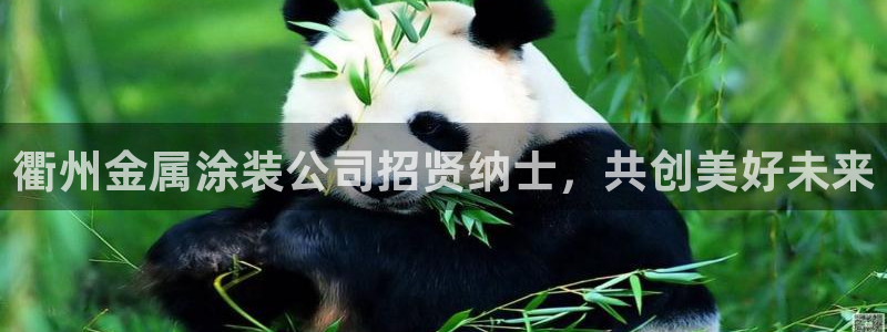 美高梅会员卡怎么办理的
