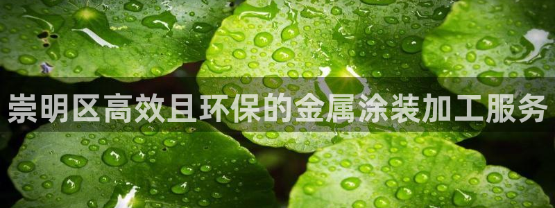 美狮美高梅酒店面对面