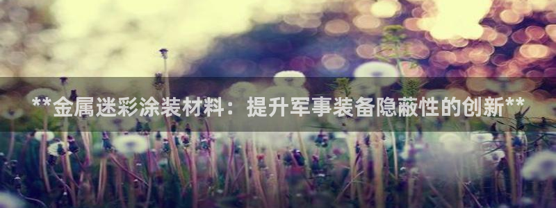 美高梅酒店介绍
