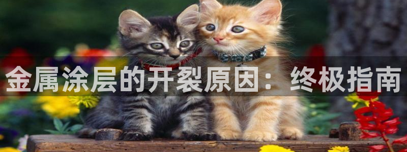 美高梅游戏官网app可以玩吗安卓
