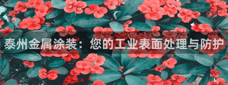 美高梅酒店是哪个国家