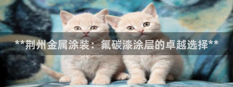 美高梅天幕广场表演