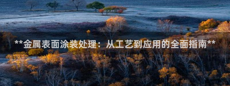 美高梅全球几家