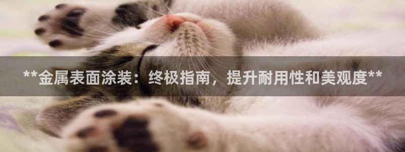 美高梅冯小峰简介