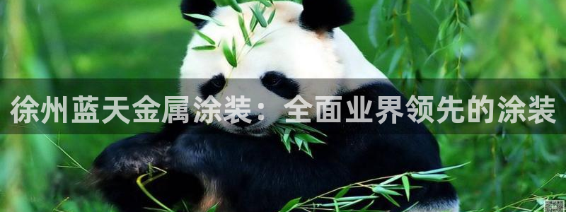 美高梅北京物业管理有限公司怎么样
