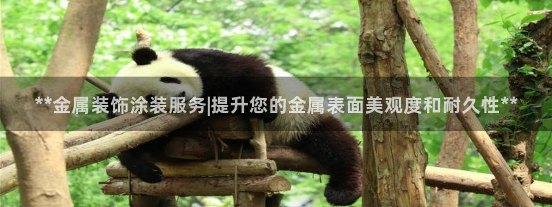 美高梅酒店风水