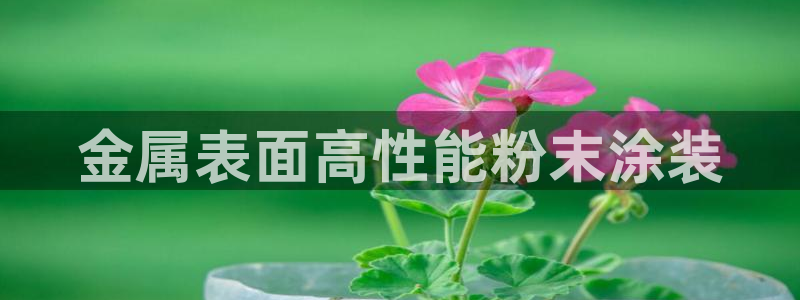 美高梅软件转钱准成吗