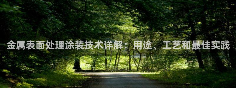 美高梅酒店老板
