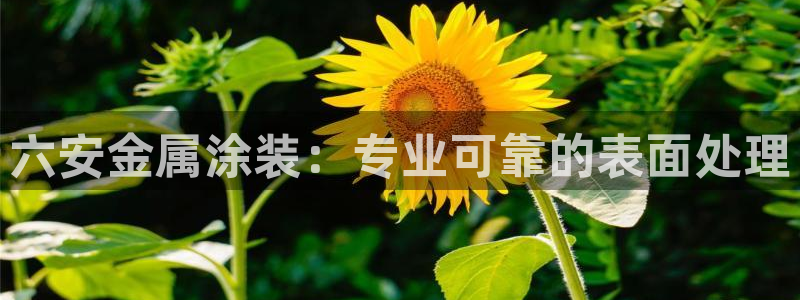 美狮美高梅酒店发财车