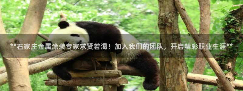 美高梅官网版手机版