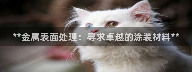 美高梅官方中文版游戏网